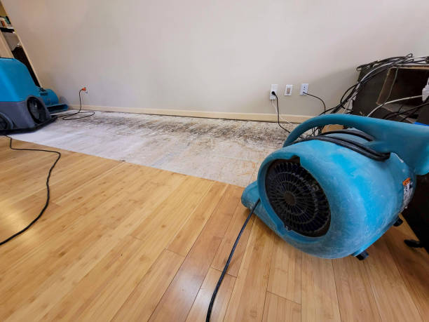 Professional Water Damage Repair technician working in Mulberry, AR